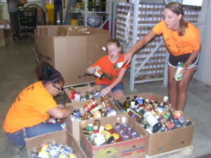 Cover photo for 4-H Hosts Hands2Service Day