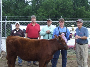 Cover photo for 4-H Youth Cattle Show
