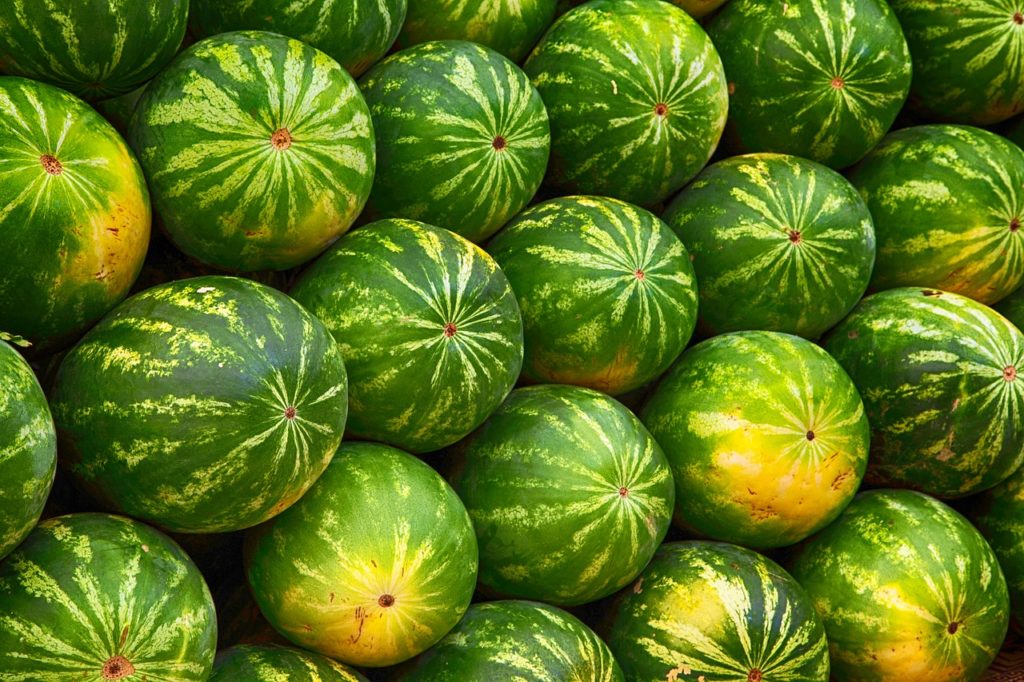 Is That Watermelon Ripe? | N.C. Cooperative Extension