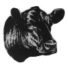 angus bull head sketch