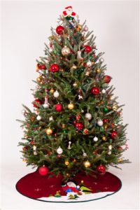 Cover photo for Christmas Tree Safety