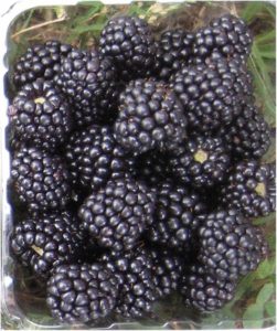 blackberries