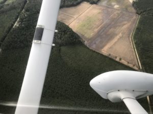 Aerial view of a young stand of pine trees that was wiped out during Hurricane Florence.