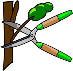 clipart of pruners and tree branch