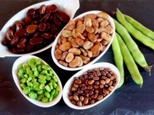 different varieties of beans