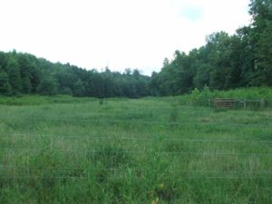 Cover photo for A Pasture Savings Account