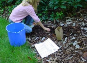 woman taking a soil sample from her lawn