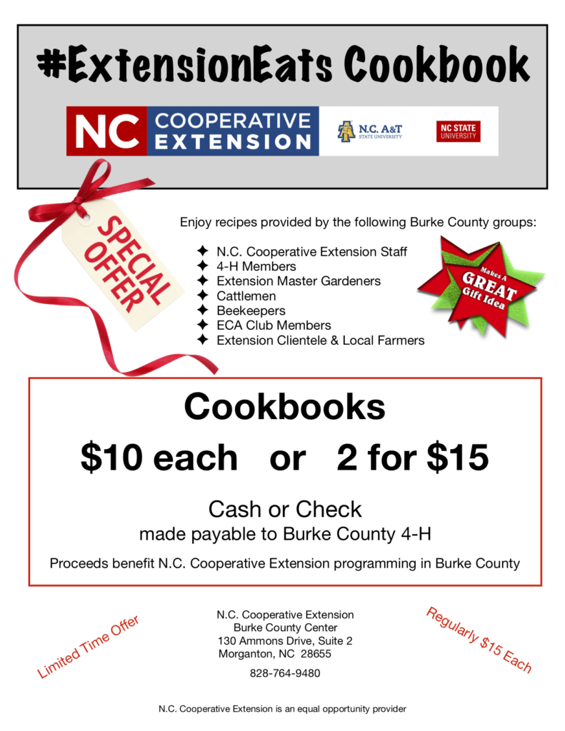 cookbook holiday special flyer