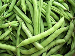 pile of fresh picked green beans