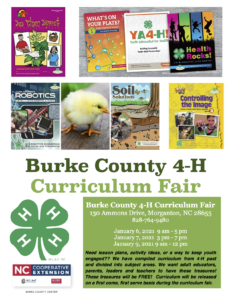 Curriculum Fair Flyer