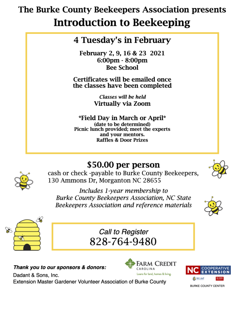 Introduction to Beekeeping Flyer