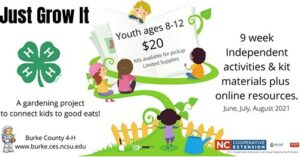 Just Grow It Workshop flyer