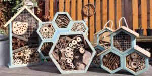 variety of bee houses