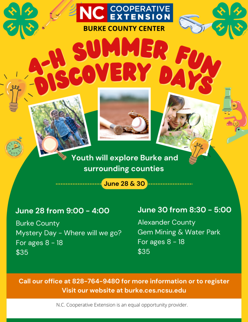4-H discovery days flyer