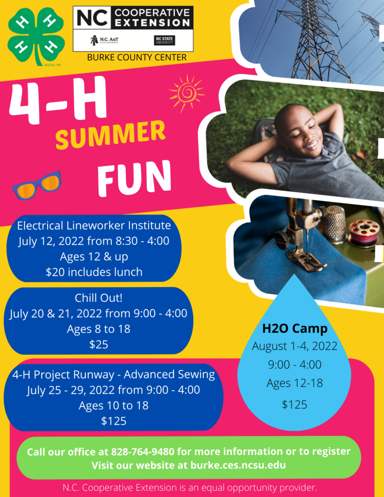 4-H summer fun July and August flyer