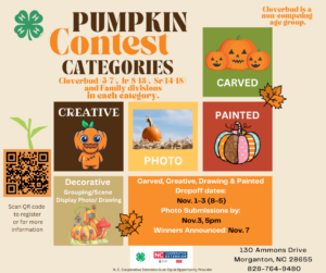 pumpkin contest flyer