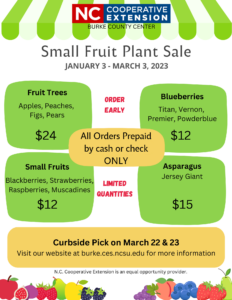 small fruit sale flier 2023