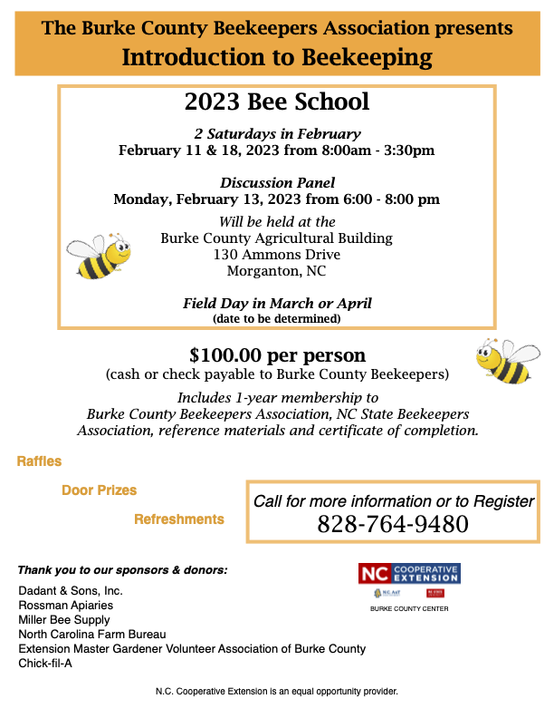 bee school flyer for 2023