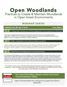 Open woodlands flyer