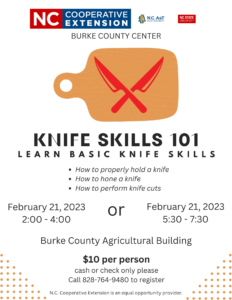 knife skills 101 class flyer