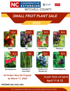 small fruit plant sale flyer