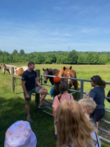 youth watching a demo about horses in the pasture