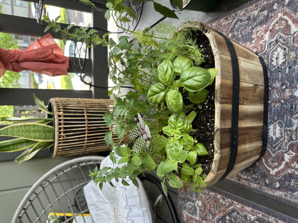 container garden 