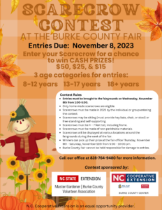 scarecrow contest flyer