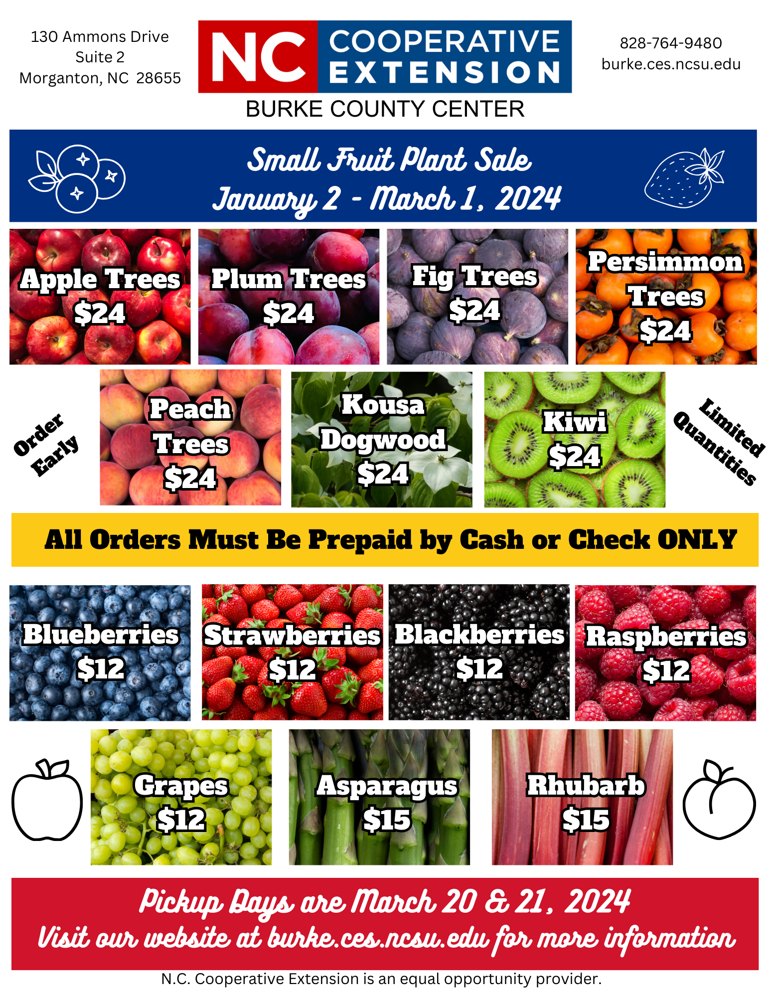 small fruit sale flyer