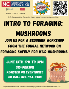 Intro to foraging: Mushrooms flyer
