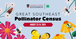 pollinator census flyer