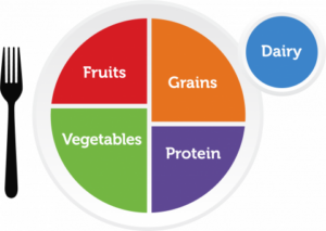 my plate food groups diagram