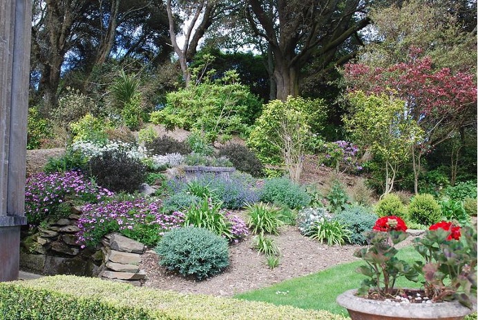 terrace garden with a variety of plants