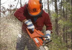 Man using a chainsaw while wearing safety equipment including gloves and a hard hat