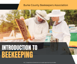 Introduction to Beekeeping