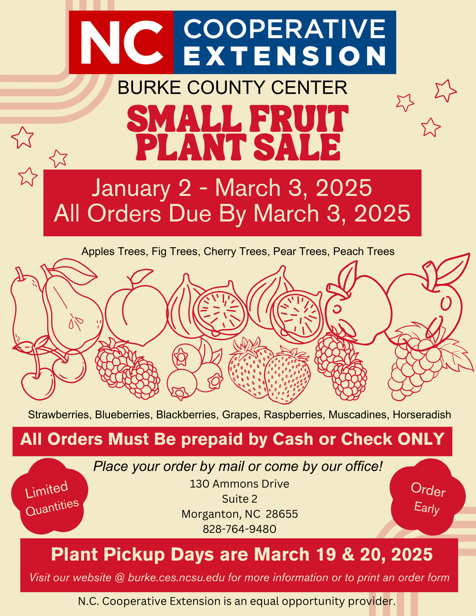 small fruit sale flyer 2025